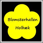 Magnetskilt bil personligt blomst