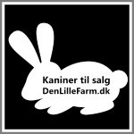 Magnetskilt personligt bil salg dyr