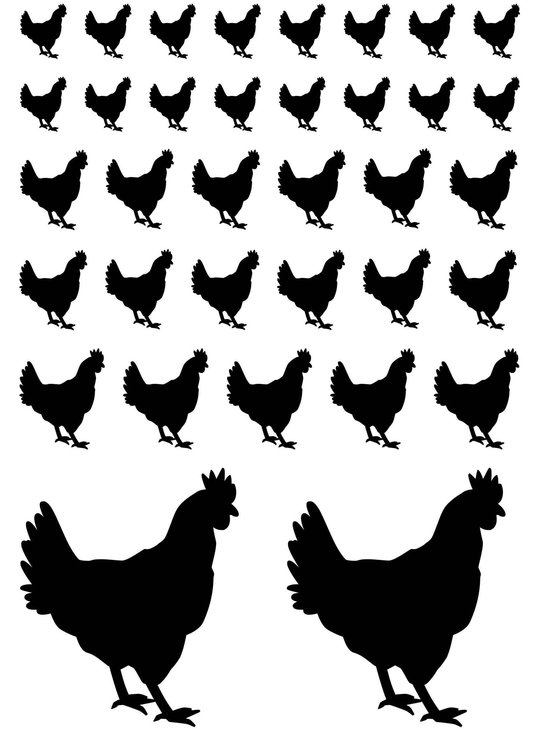 Klistermærker med dyr høner høns ark